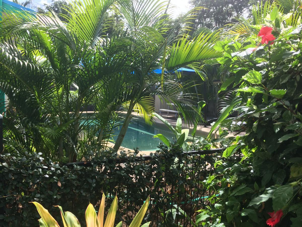 Tropical Palms Resort & 4Wd Hire Picnic Bay Extérieur photo